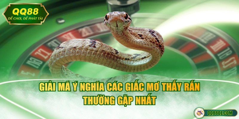 Mơ Thấy Rắn Mang Điềm Gì? Bật Mí Các Con Số Tài Lộc Ẩn Sau 2 Giải mã ý nghĩa các giấc mơ thấy rắn thường gặp nhất