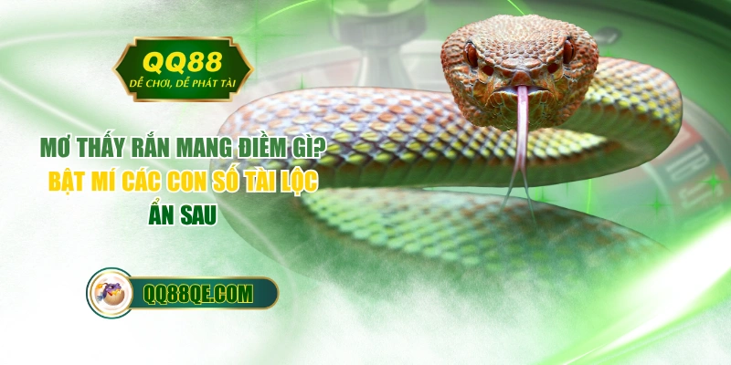 Mơ Thấy Rắn Mang Điềm Gì? Bật Mí Các Con Số Tài Lộc Ẩn Sau 1 Mơ Thấy Rắn Mang Điềm Gì? Bật Mí Các Con Số Tài Lộc Ẩn Sau