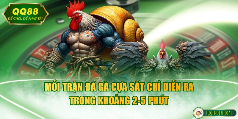 Đá Gà Cựa Sắt - Mãn Nhãn Con Mắt Với Những Trận Đấu Rực Lửa 3 Mỗi trận đá gà cựa sắt chỉ diễn ra trong khoảng 2-5 phút